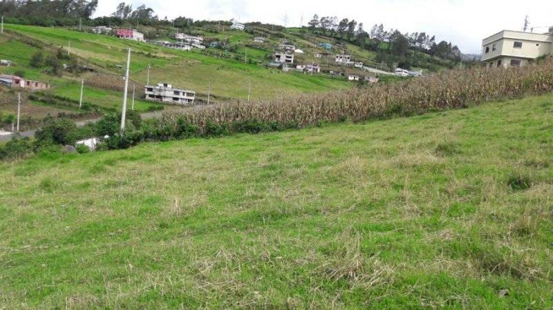 Finca en Venta en Santo Domingo Santo Domingo, Pichincha