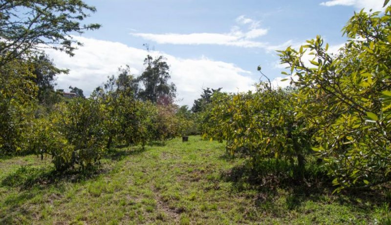 Terreno en Venta en Urcuqui Urcuquí, Imbabura