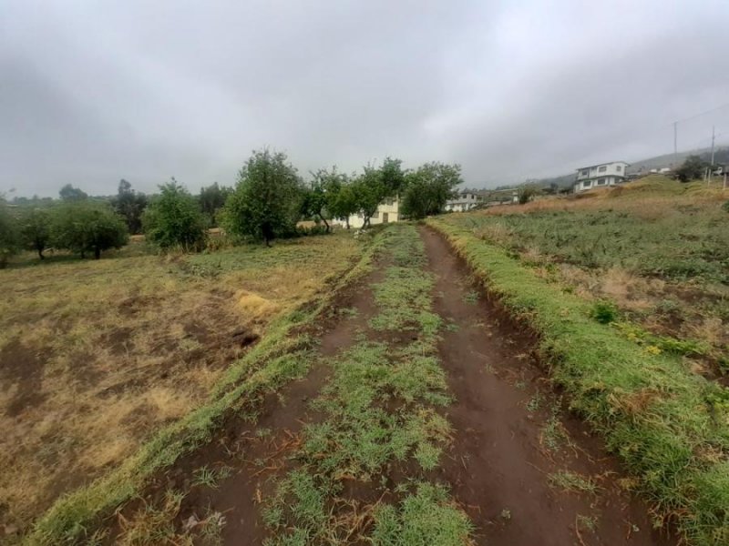 Terreno en Venta en Samanga Ambato, Tungurahua