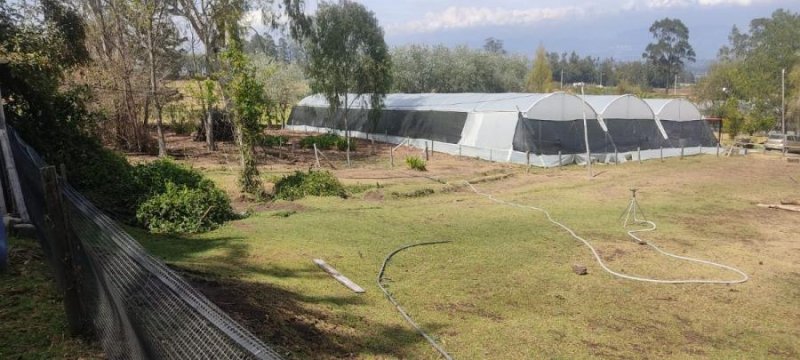 Quinta en Venta en  Quito, Pichincha