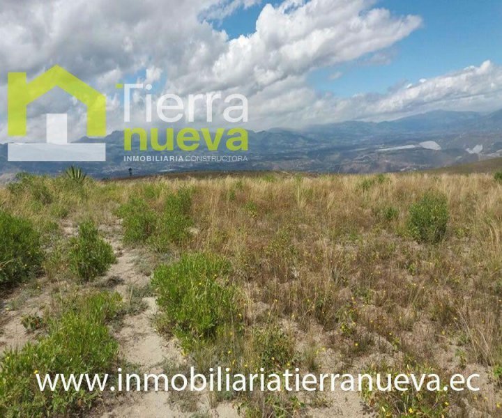 Terreno en Venta en TABACUNDO Cayambe, Pichincha