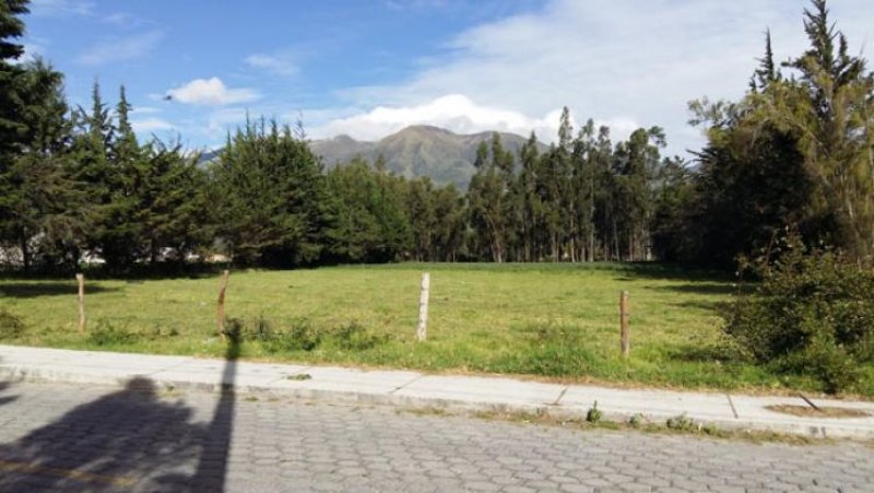 Terreno en Venta en  Cotacachi, Imbabura