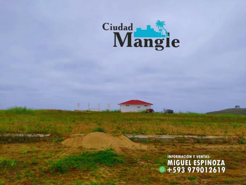 Foto Terreno en Venta en MONTECRISTI, Montecristi, Manabi - 15 hectareas - U$D 16.000 - TEV35767 - BienesOnLine