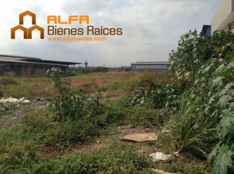 Foto Terreno en Venta en Durán, Guayas - U$D 193.907 - TEV22754 - BienesOnLine