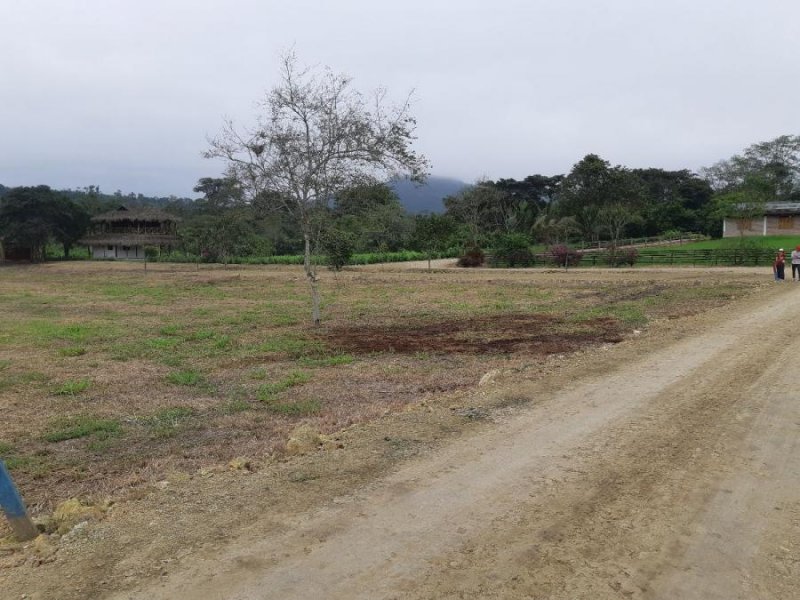 Terreno en Venta en Olon Santa Elena, Santa Elena