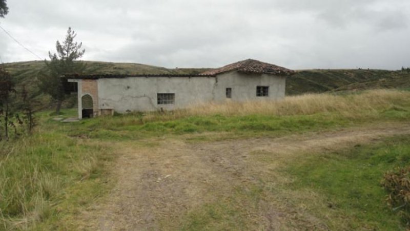 Hacienda en Venta en  Bolívar, Carchi