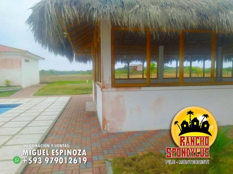 Foto Terreno en Venta en PILE, Montecristi, Manabi - 15 hectareas - U$D 9.900 - TEV35731 - BienesOnLine