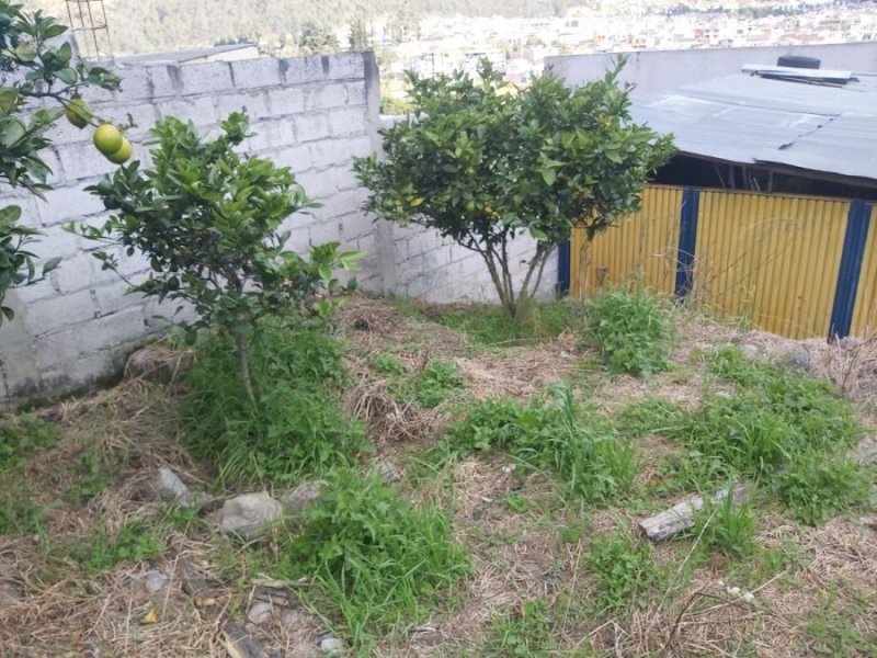 Foto Terreno en Venta en MIRAVALLE, Otavalo, Imbabura - U$D 75.000 - TEV32193 - BienesOnLine