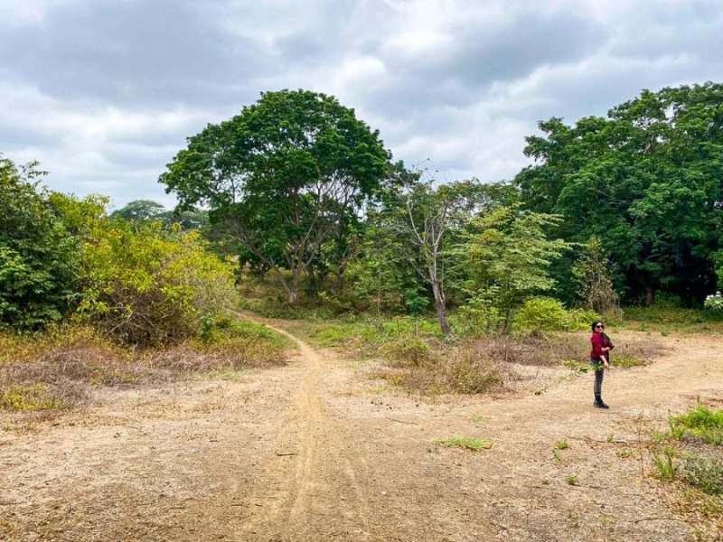 Terreno en Venta en Chongon Guayaquil, Guayas