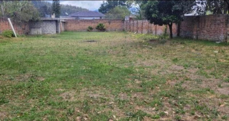 Terreno en Venta en Conocoto Armenia Valle de los Chillos, Pichincha