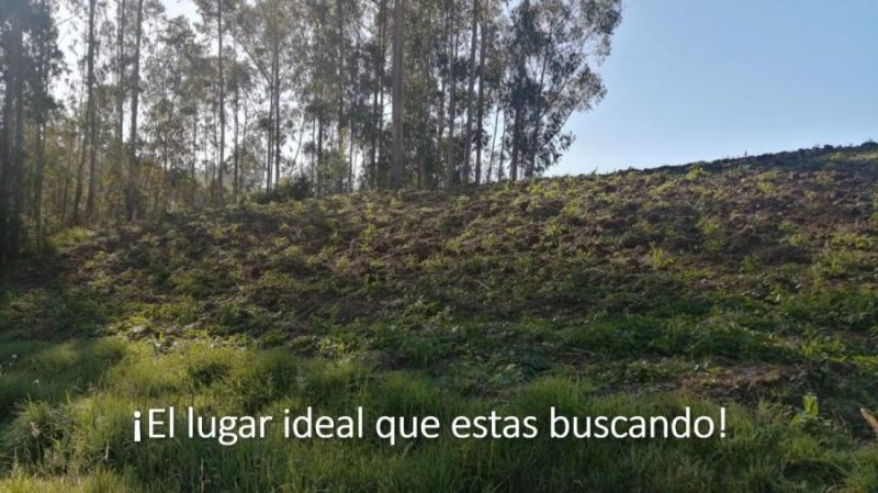 Terreno en Venta en  Cuenca, Azuay