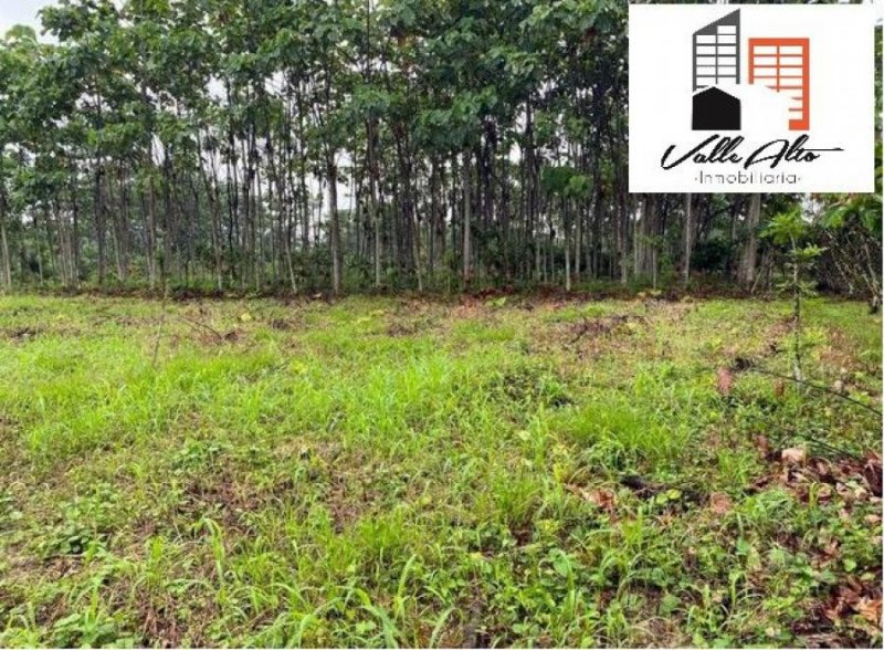 Terreno en Venta en Puyo Puyo, Pastaza