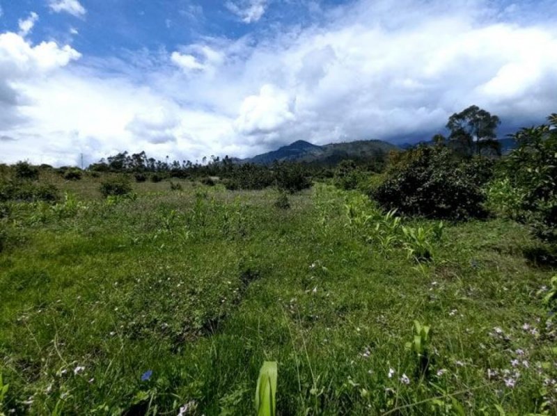 Terreno con casa de venta en Tumbabiro