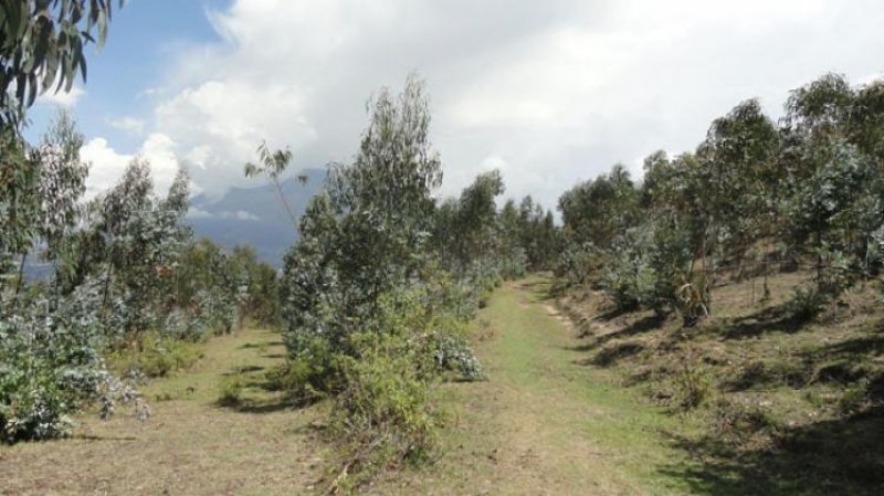 Terreno en Venta en  Cotacachi, Imbabura