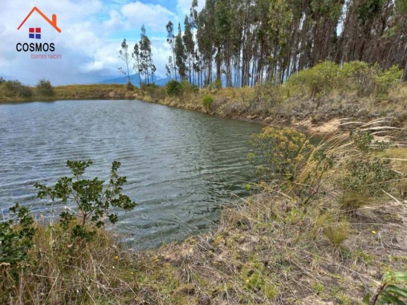 Terreno de venta en Carchi, García Moreno, 3 ha