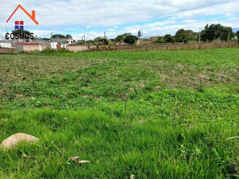 Terreno en Venta en  Antonio Ante, Imbabura