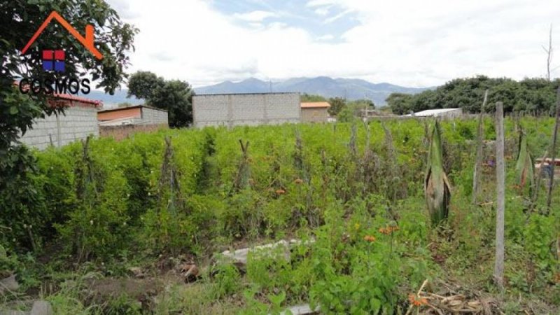 Terreno en Venta en  Antonio Ante, Imbabura