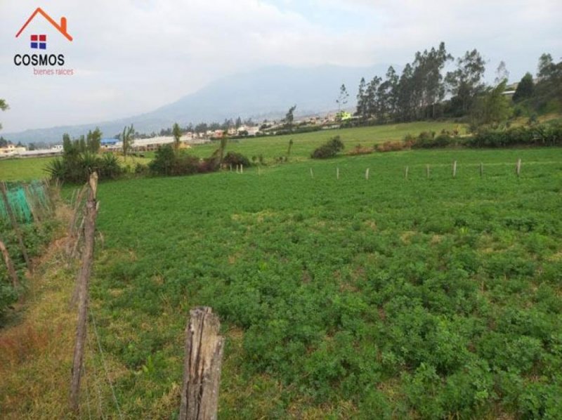 Terreno en Venta en  Cotacachi, Imbabura