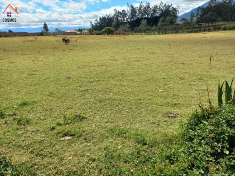 Terreno en Venta en  Cotacachi, Imbabura