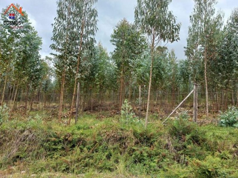 Terreno de venta en Otavalo, San Pablo del Lago, El Topo