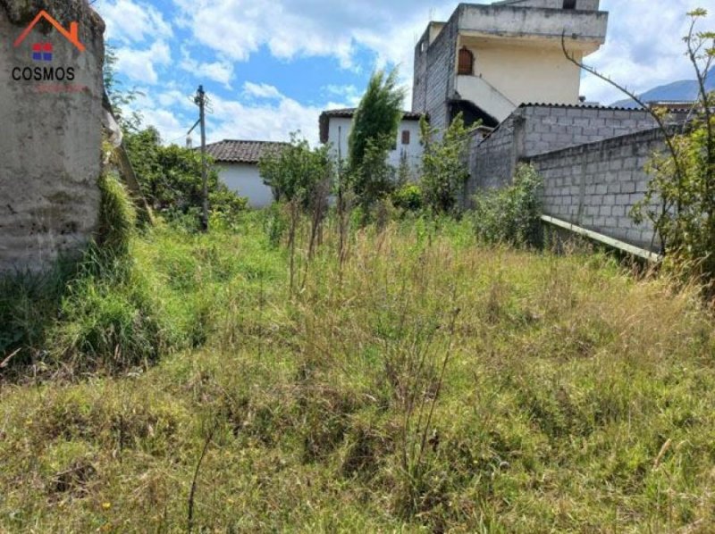 Foto Terreno en Venta en Miguel Egas, Otavalo, Imbabura - U$D 48.000 - TEV37701 - BienesOnLine