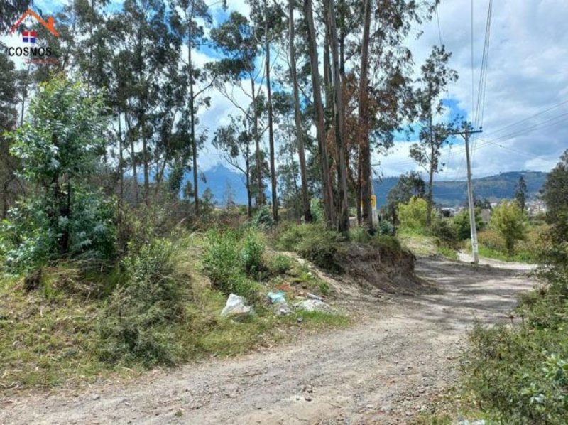 Terreno en Venta en  Otavalo, Imbabura