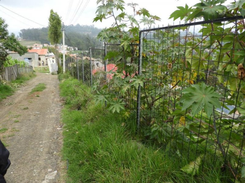 Foto Terreno en Venta en RICAURTE, Cuenca, Azuay - U$D 55.000 - TEV28857 - BienesOnLine