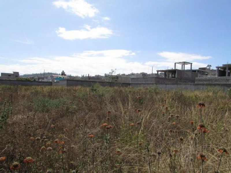 Terreno en Arriendo en Calderón Quito, Pichincha