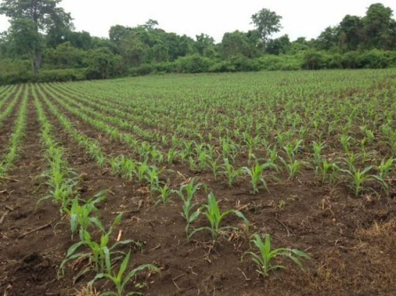 Terreno en Venta en  Nobol, Guayas