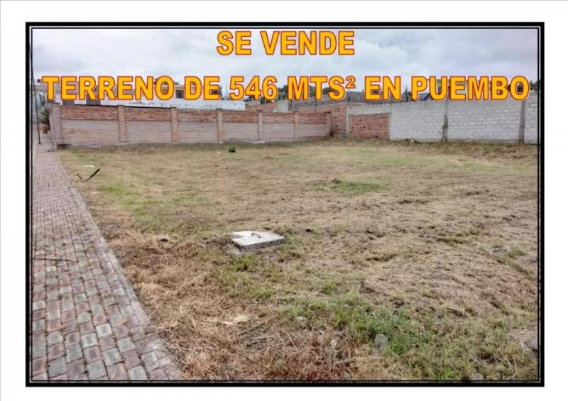 Terreno en Venta en Puembo Puembo, Pichincha