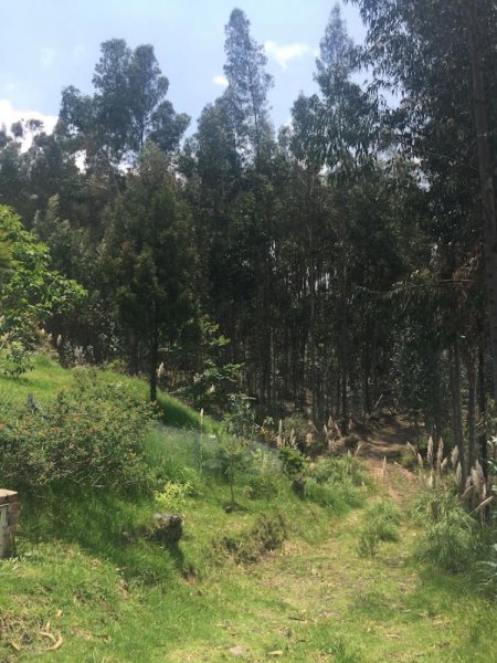 Foto Terreno en Venta en Cuenca, Azuay - U$D 177.000 - TEV22762 - BienesOnLine