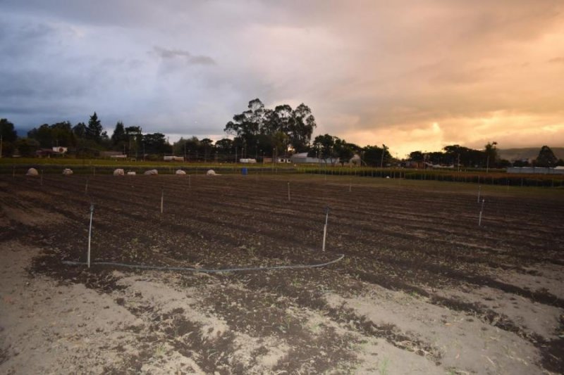 Terreno en Venta en Puembo Quito, Pichincha