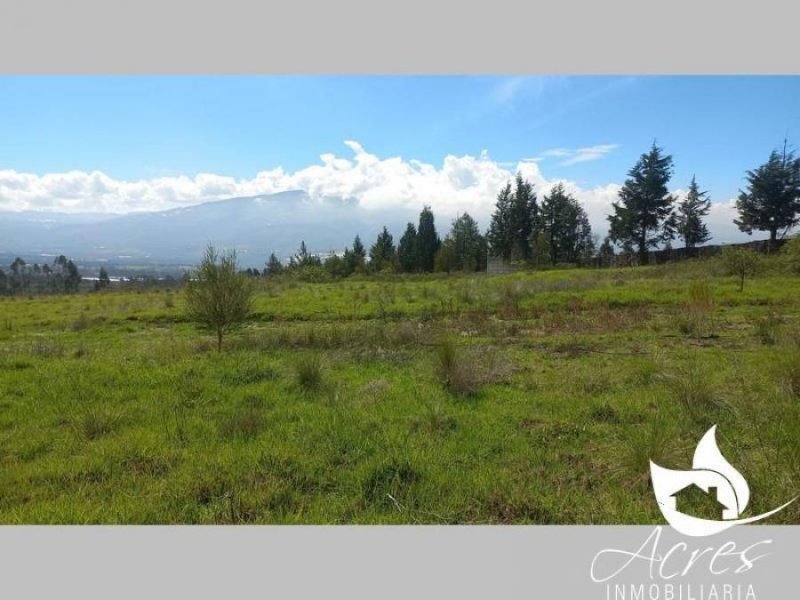 Terreno en Venta en Tocachi Pedro Moncayo, Pichincha