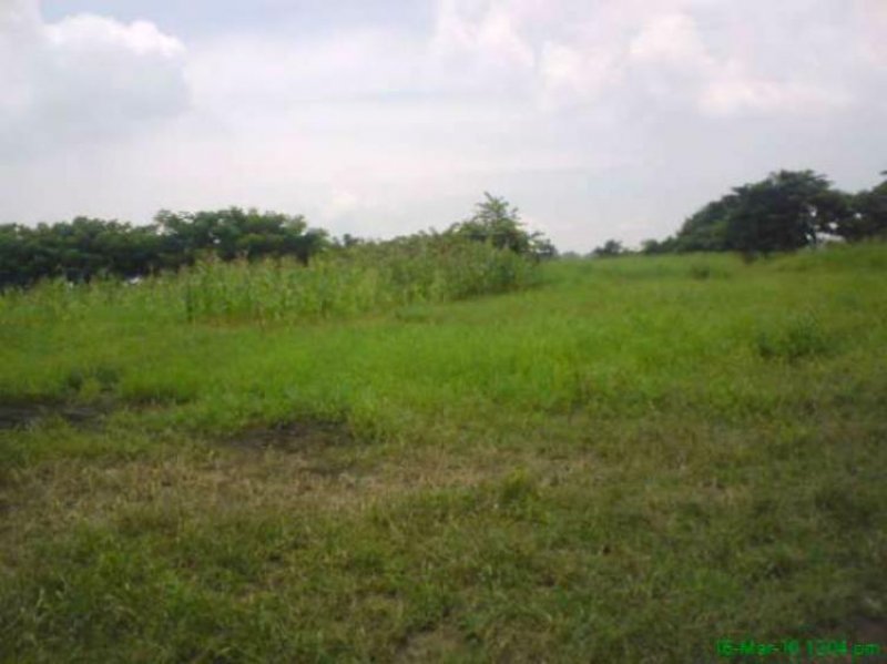 Foto Terreno en Venta en Tarqui, Guayaquil, Guayas - 106 hectareas - U$D 2.120.000 - TEV18875 - BienesOnLine