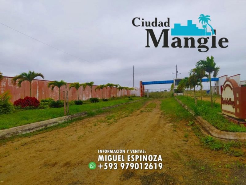 Foto Terreno en Venta en MONTECRISTI, Montecristi, Manabi - 15 hectareas - U$D 16.000 - TEV35474 - BienesOnLine