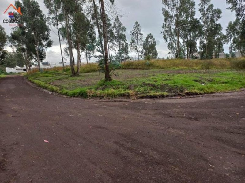 Terreno en Venta en  Pedro Moncayo, Pichincha