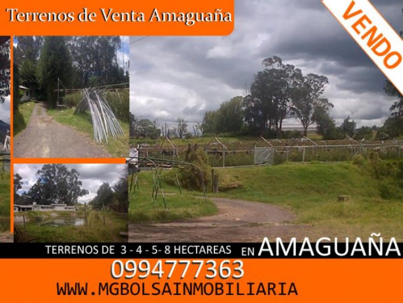 Foto Terreno en Venta en AMAGUAÑA, Quito, Pichincha - 4 hectareas - U$D 99 - TEV11466 - BienesOnLine