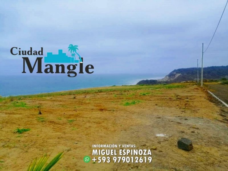 Foto Terreno en Venta en MONTECRISTI, Montecristi, Manabi - 15 hectareas - U$D 16.000 - TEV35475 - BienesOnLine