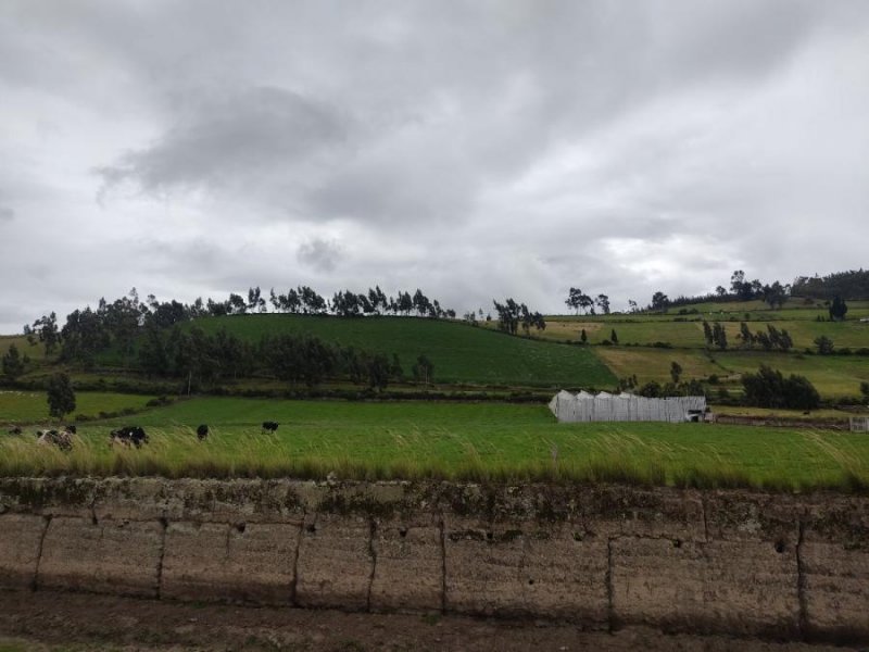 Terreno en Venta en Olmedo Cayambe, Pichincha