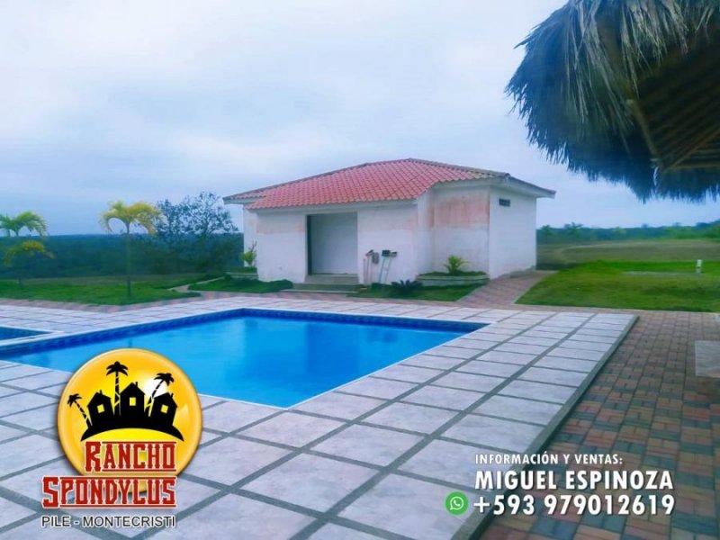 Foto Terreno en Venta en PILE, Montecristi, Manabi - 15 hectareas - U$D 9.900 - TEV35679 - BienesOnLine