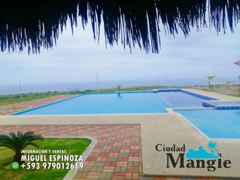 Foto Terreno en Venta en MONTECRISTI, Montecristi, Manabi - 15 hectareas - U$D 16.000 - TEV35443 - BienesOnLine