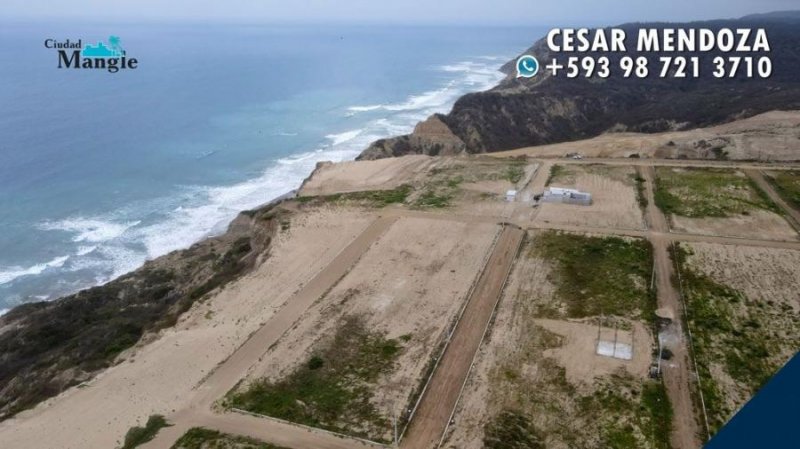 Foto Terreno en Venta en Las Cruces, Montecristi, Manabi - 170 hectareas - U$D 16.000 - TEV28280 - BienesOnLine