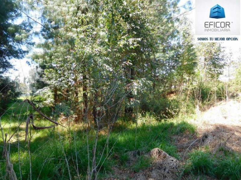 Foto Terreno en Venta en SANGOLQUI, Rumiñahui, Pichincha - U$D 73.000 - TEV24221 - BienesOnLine