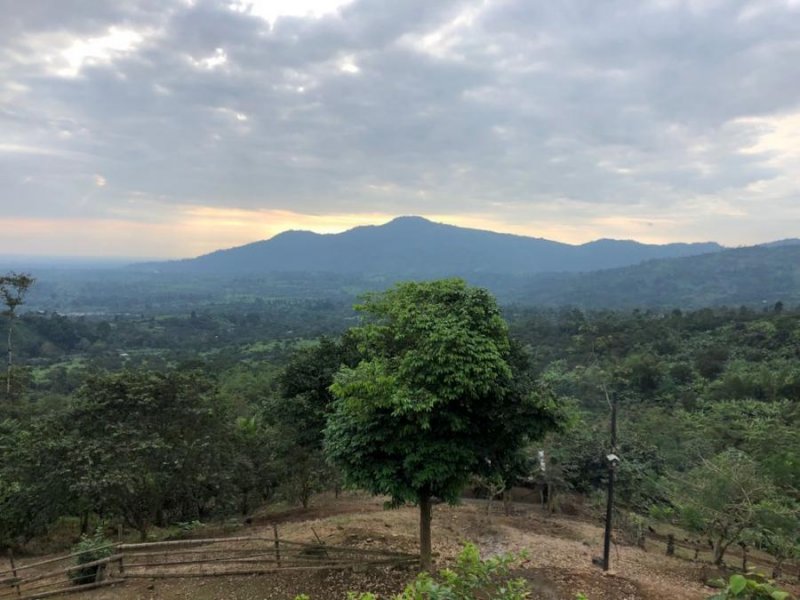 Hacienda en Venta en  Cantón Caluma, Bolivar