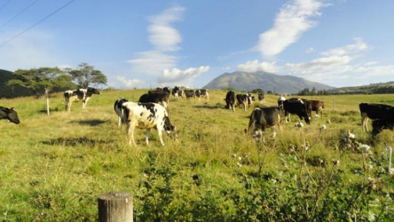 Hacienda en Venta en  Ibarra, Imbabura