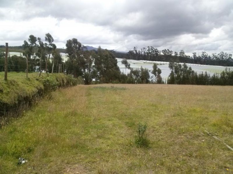 Foto Terreno en Venta en Cayambe, Pichincha - U$D 90.000 - TEV21353 - BienesOnLine