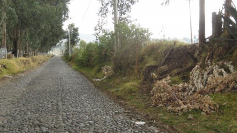 Terreno en Venta en  Cayambe, Pichincha