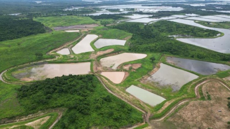 Terreno en Venta en  Chongón, Guayas