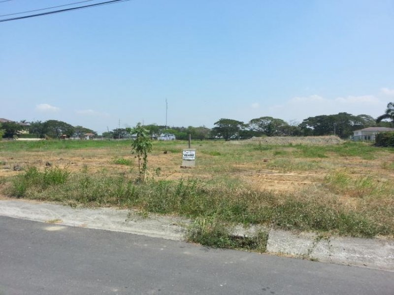 Foto Terreno en Venta en La Puntilla, Samborondón, Guayas - U$D 380.000 - TEV15573 - BienesOnLine