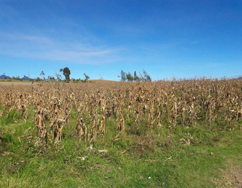 Foto Terreno en Venta en Otavalo, Imbabura - U$D 75.000 - TEV23074 - BienesOnLine